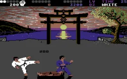 Обложка International Karate +