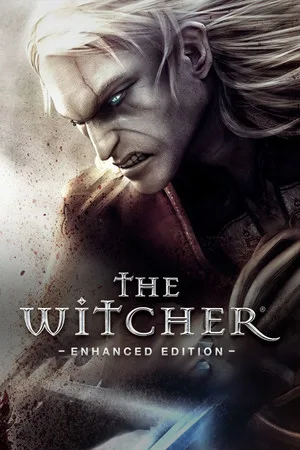 Обложка The Witcher